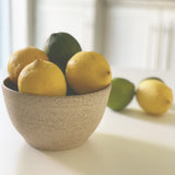 Speckled Sand Stoneware - Bowl