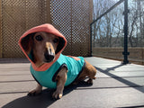 The Sharper Barker - Fleece Sleeveless Dog Luxe Hoodie - Malibu