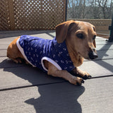 The Sharper Barker - Luxe Dog Hoodie - Lightweight Sleeveless - Anchors