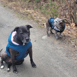 The Sharper Barker - Luxe Rain Jacket - Bubba - Blue with Pink Striped Lining