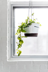 Dark Two-Tone Stoneware - Hanging Planter