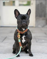 Rope Dog Leash - Brass - Mint - 6 Feet