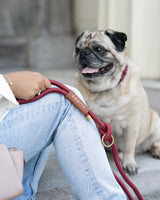 Rope Dog Leash - Brass - Wine - 6 Feet