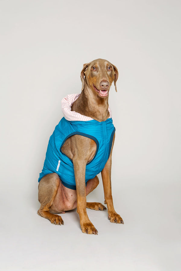 The Sharper Barker - Luxe Rain Jacket - Bubba - Blue with Pink Striped Lining