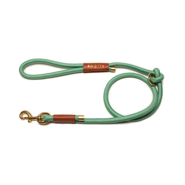 Rope Dog Leash - Brass - Mint - 6 Feet