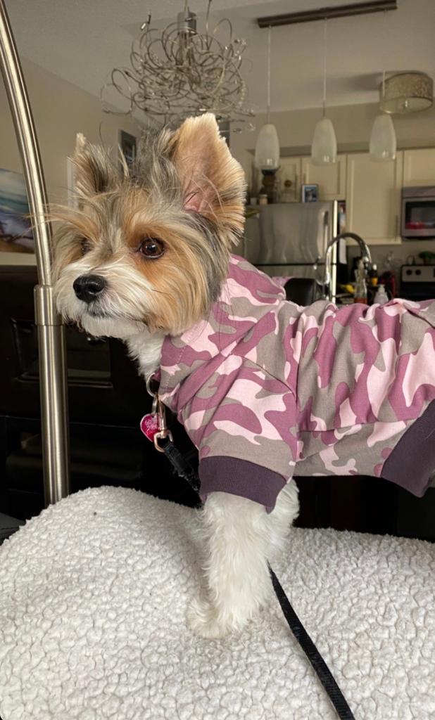 The Sharper Barker - Luxe Dog Hoodie - Emma - Pink Camo