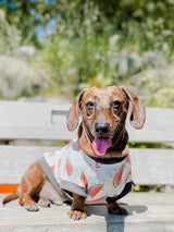 The Sharper Barker Luxe Dog Tee - One in a Melon